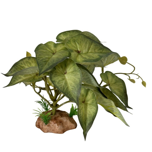 Растение для рептилий 15