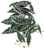 Растение для рептилий 11