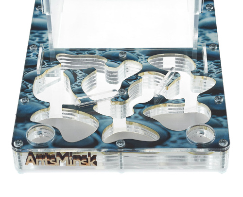 Стартовый комплект с муравьями XXL rain фото 3