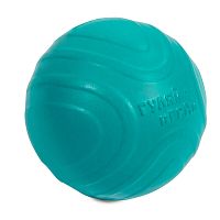 Игрушка для собак мяч "Гуляй-играй", S, 60мм