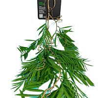 Растение для террариума пластиковое NOVAMARK TERRA Бамбук зеленый 70 см