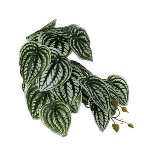 Растение для рептилий 13