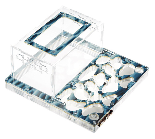 Стартовый комплект с муравьями XXXL rain фото 2