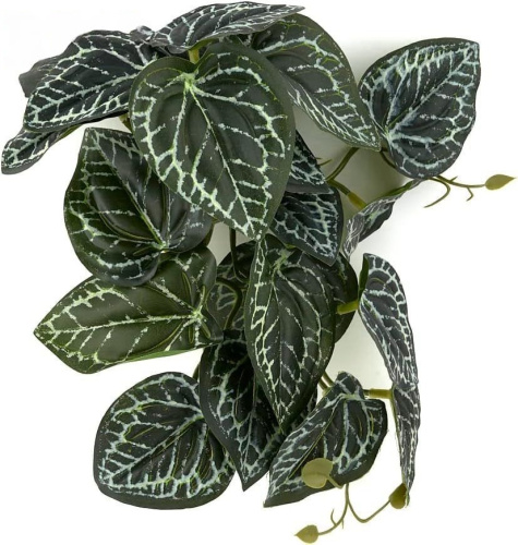 Растение для рептилий 12