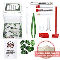 Стартовый комплект с муравьями XL sheet