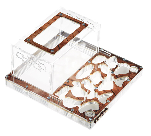 Стартовый комплект с муравьями XXXL tree фото 2