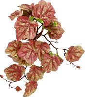 Растение для рептилий 10