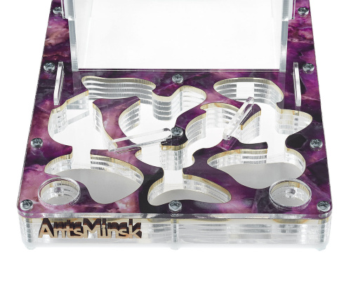 Стартовый комплект с муравьями XXL emerald фото 3