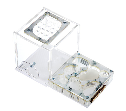 Стартовый комплект с муравьями XL marble фото 2