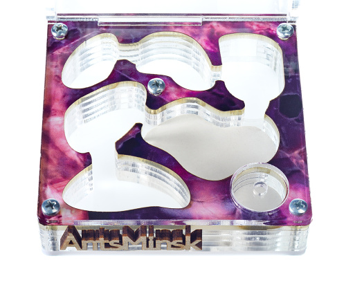 Стартовый комплект с муравьями XL emerald фото 3