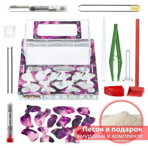 Стартовый комплект с муравьями XXXL emerald