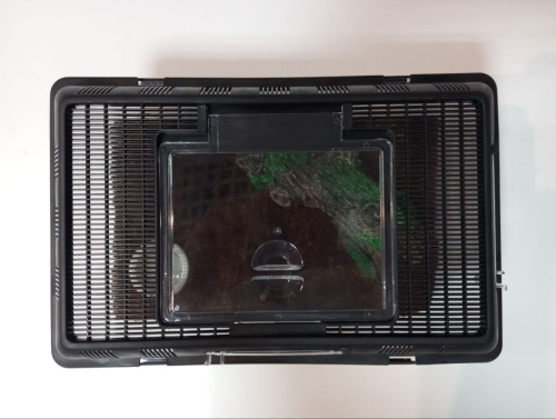 Стартовый набор для пауков фото 4