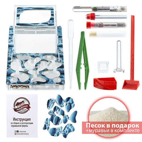 Стартовый комплект с муравьями XXL rain