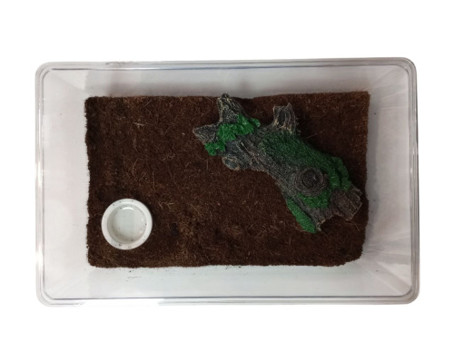 Стартовый набор для пауков фото 2