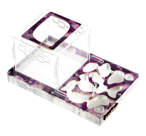 Стартовый комплект с муравьями XXL emerald фото 2