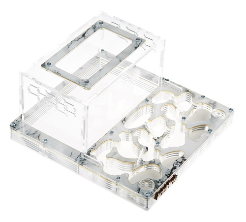 Стартовый комплект с муравьями XXXL marble фото 2