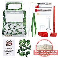 Стартовый комплект с муравьями XXL sheet