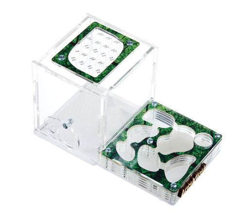 Стартовый комплект с муравьями XL sheet фото 2