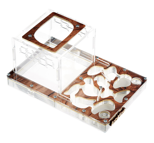 Стартовый комплект с муравьями XXL tree фото 2