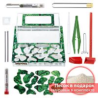 Стартовый комплект с муравьями XXXL sheet