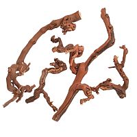 Коряга темная лоза