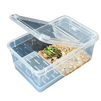 Контейнер для лягушек 19*12.5*7.5см