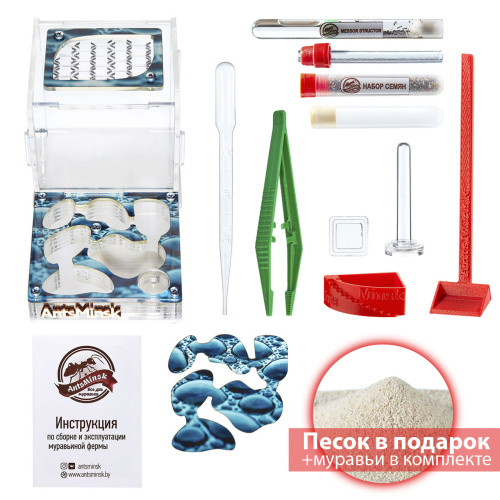 Стартовый комплект с муравьями XL rain