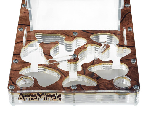 Стартовый комплект с муравьями XXL tree фото 3