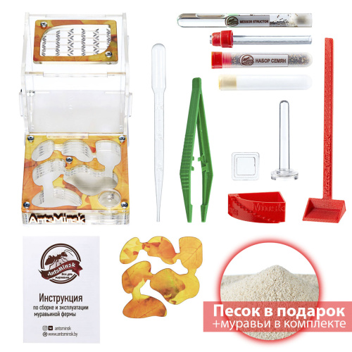 Стартовый комплект с муравьями XL autumn