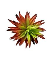 Растение для террариума пластиковое NOVAMARK TERRA суккулент Эхеверия Эбони (красная) 15 см