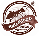 AntsMinsk