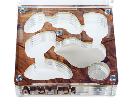 Стартовый комплект с муравьями XL tree фото 3