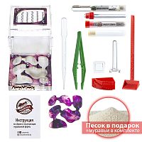 Стартовый комплект с муравьями XL emerald