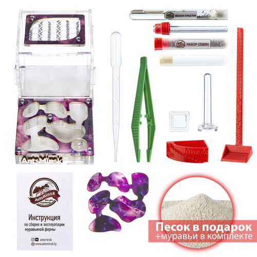 Стартовый комплект с муравьями XL emerald