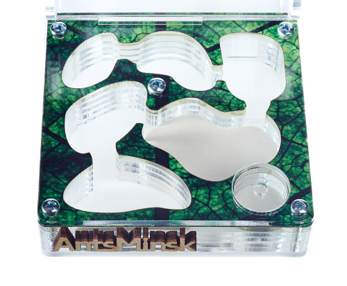 Стартовый комплект с муравьями XL sheet фото 3