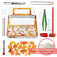 Стартовый комплект с муравьями XXXL autumn