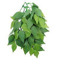 Растение "Фикус" TP002, 300мм