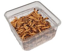 Зофобас крупный 100 шт