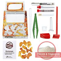 Стартовый комплект с муравьями XXL autumn