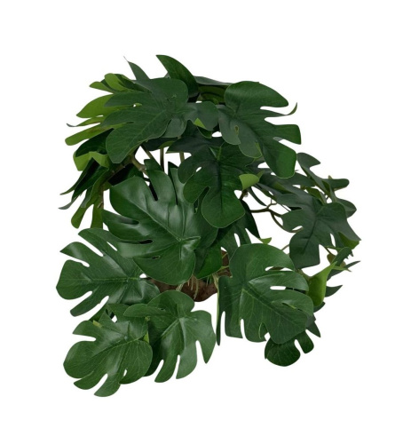 Растение для рептилий 16