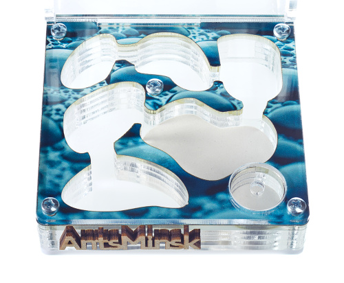 Стартовый комплект с муравьями XL rain фото 3