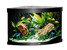 Juwel Аквариум укомплектованный угловой Trigon 190 LED Черный (98,5 x 70 x 60 см., 41 кг.)