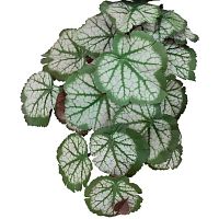 Растение для рептилий 05