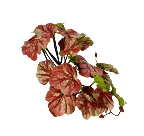 Растение для рептилий 14