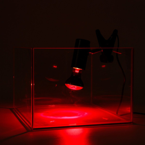 Светильник для террариума NomoyPet фото 3