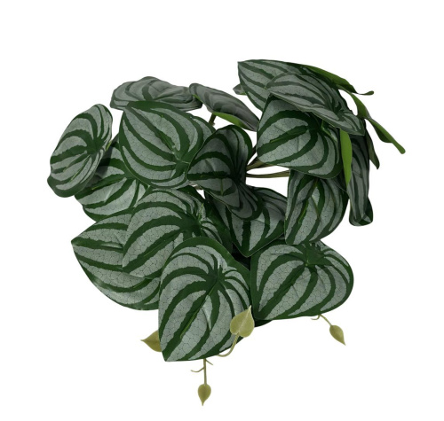 Растение для рептилий 07